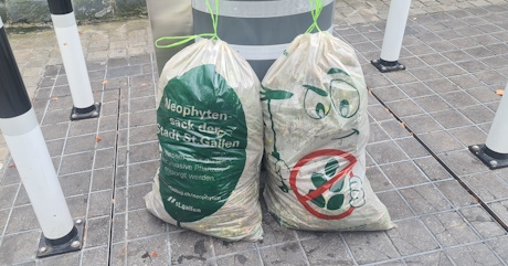 Neophytensack Stadt St.Gallen